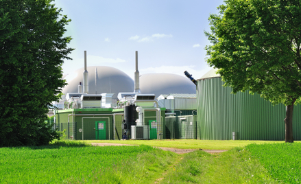 Aukcje OZE celują w biogaz