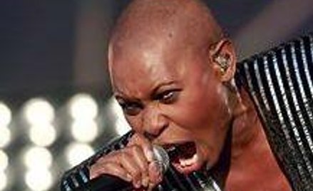 Wielka pogoń za muzyką