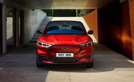 Ford stawia na ekologię. Wykluczenie wody pitnej przy produkcji, redukcja odpadów