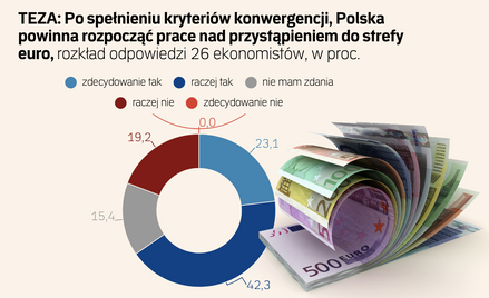 Wyjść na fiskalną prostą, podgonić Zachód i wchodzić do strefy euro