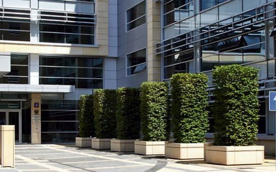 Liczba zamówień z wolnej ręki sięgała aż jednej trzeciej wszystkich – mówi prezes Urzędu Zamówień Pu