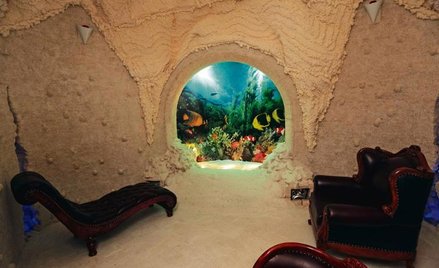 Wiktor Pszonka już jako dziecko lubił hodować gupiki. Teraz dorósł i może więcej