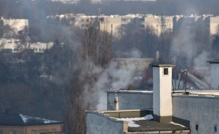 Woj. śląskie w walce ze smogiem skorzysta z rad Banku Światowego