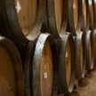 Wino półwytrawne czy półsłodkie wiele osób uważa za produkty niższej jakości od win wytrawnych.