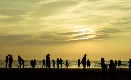 W 2100 roku lato będzie trwać sześć miesięcy