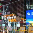 Techniczny portfel „Parkietu", złożony z ośmiu spółek wskazanych przez analityków, stracił w paździe
