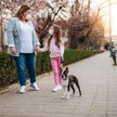 Koronawirus: opieka nad dzieckiem bez prawa do kosztów w PIT