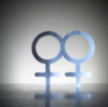Nielegalny ślub gejów, niemożliwy rozwód lesbijek