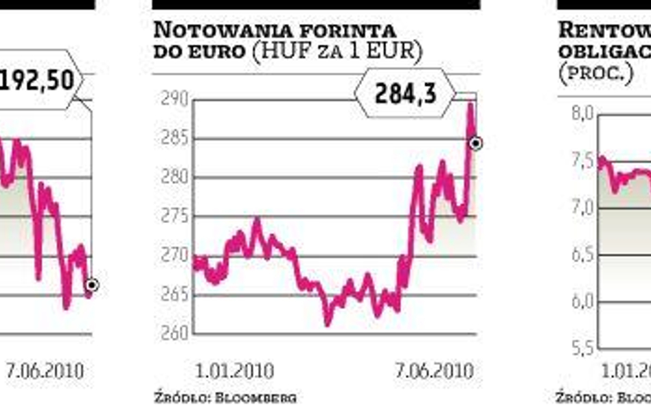 Plany węgierskiego rządu wprawiają rynek w drżenie