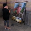 Ratko Mladić ma zostać pochowany w Serbii z honorami