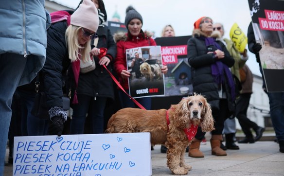 Wielu uczestników maszerowało wraz ze swoimi pupilami