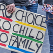 Irlandia: Za dwa miesiące referendum ws. aborcji