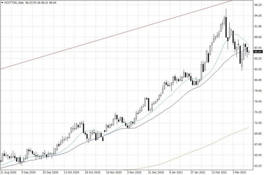 Notowania bawełny w USA – dane dzienne