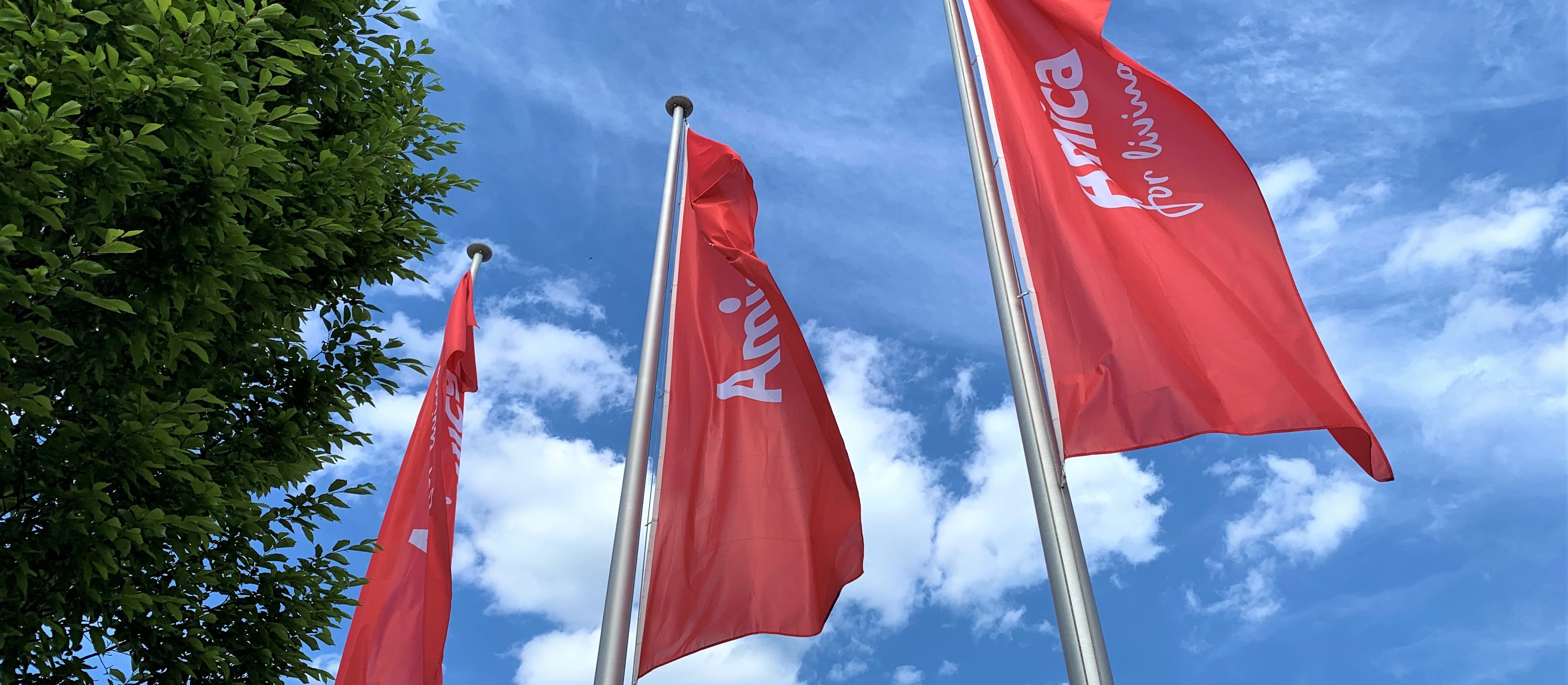 Amica liczy na Azję i lepszą końcówkę roku