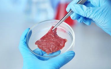 Sztuczne mięso staje się hitem w pandemii