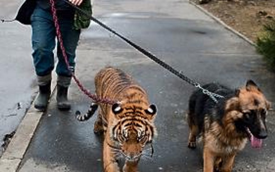 Zoja i Frida – niezapomniany duet ze stołecznego zoo