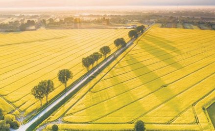Wojna w Ukrainie wywoła poważne turbulencje na rynkach żywności