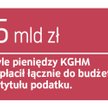 Rząd nie zamierza ulżyć KGHM