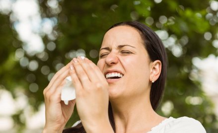 Większość szczepów wirusa grypy nie wymiera pod koniec sezonu grypowego, ale przemieszcza się do bar