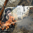 Syryjska telewizja: Abu Bakr al-Baghdadi zginął w nalocie