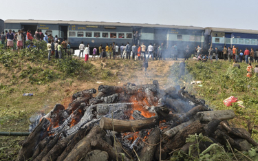 Śmierć słoni na torach kolejowych. Nie po raz pierwszy