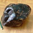 Zarzuty za kradzież 8,5 kilogramowego bursztynu