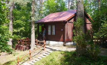 Stawka za wywóz śmieci z domku letniskowego