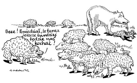 Rysuje Andrzej Krauze