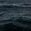 Ciemnienie oceanów stanowi poważne zagrożenie dla życia morskiego