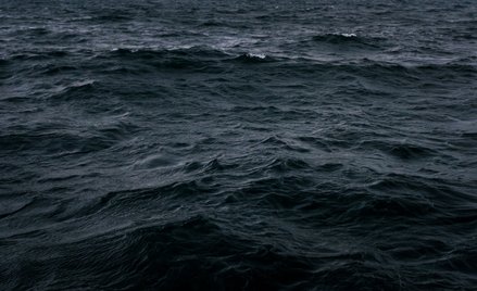 Ciemnienie oceanów stanowi poważne zagrożenie dla życia morskiego