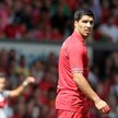 Suarez: Niekończąca się opowieść
