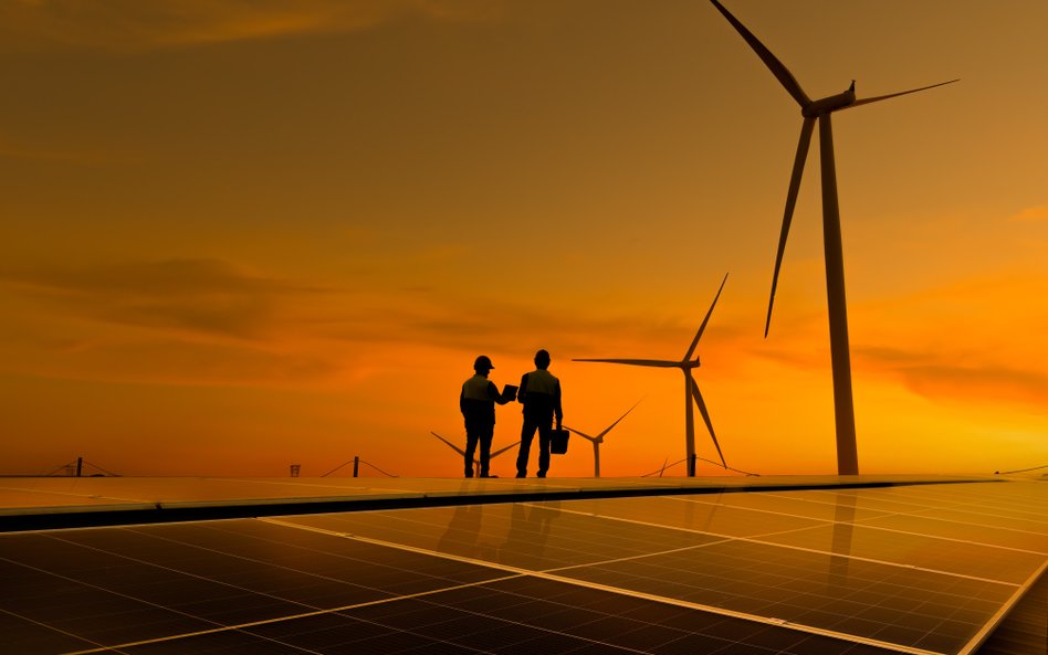 Mała strategia energetyczna zakłada mniej OZE w 2040 roku
