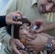 Rekord zachorowań na polio w Pakistanie