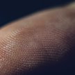 Zbierał odciski palców pracowników, zapłaci za ignorowanie PUODO