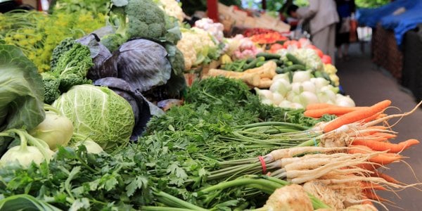 Poland faces weak harvests due to weather; fruit prices remain low
