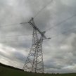 Polacy nie umieją zmienić dostawcy energii
