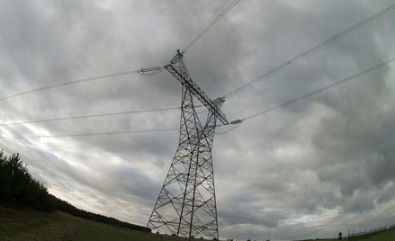 Polacy nie umieją zmienić dostawcy energii