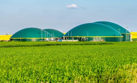 W ubiegłym roku liczba biogazowni rolniczych wzrosła w Polsce o piętnaście instalacji, a nierolniczy