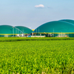 W ubiegłym roku liczba biogazowni rolniczych wzrosła w Polsce o piętnaście instalacji, a nierolniczy