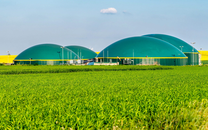 W ubiegłym roku liczba biogazowni rolniczych wzrosła w Polsce o piętnaście instalacji, a nierolniczy