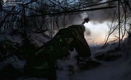 Ukraińska haubica na pozycjach ogniowych