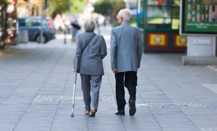 W leczeniu chorób reumatycznych pomagają m.in. kontakty ze zwierzętami