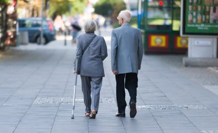 W leczeniu chorób reumatycznych pomagają m.in. kontakty ze zwierzętami