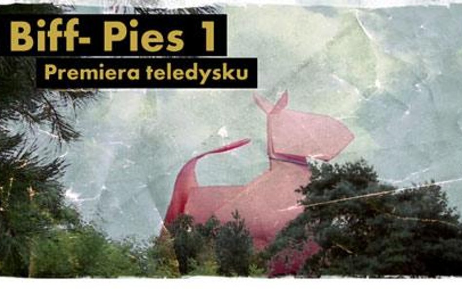 Pierwszy cios zespołu BiFF