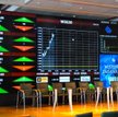 Byki nie chcą opuścić europejskich rynków