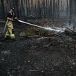 Akcja dogaszania pożaru lasu w pow. biłgorajskim w Puszczy Solskiej