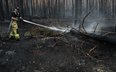 Akcja dogaszania pożaru lasu w pow. biłgorajskim w Puszczy Solskiej