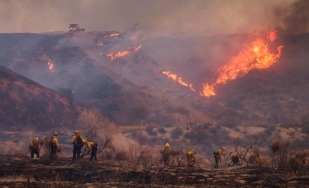 Kolejny pożar pojawił się na północ od Los Angeles