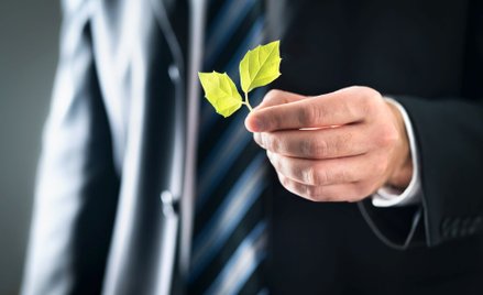 Przedsiębiorcy ze wspólną deklaracją dla klimatu