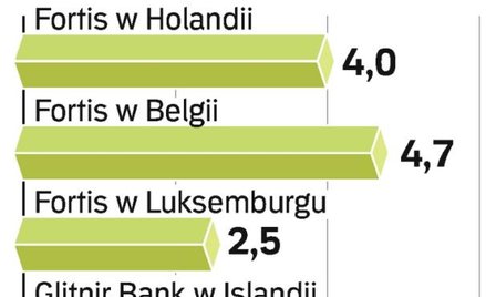 Rządy krajów Beneluksu podzieliły między siebie Fortis. Reykjavik wsparł pożyczką bank Glitnir.